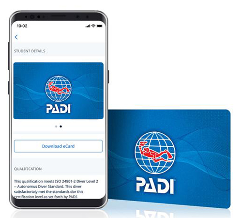 kurs owd padi